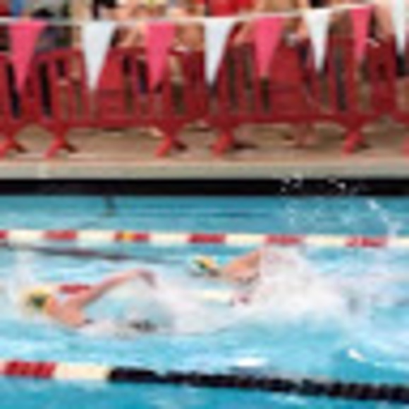 Meet your Posher, Addison - Picture 1 of 1